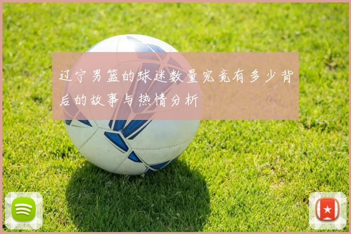 辽宁男篮的球迷数量究竟有多少背后的故事与热情分析