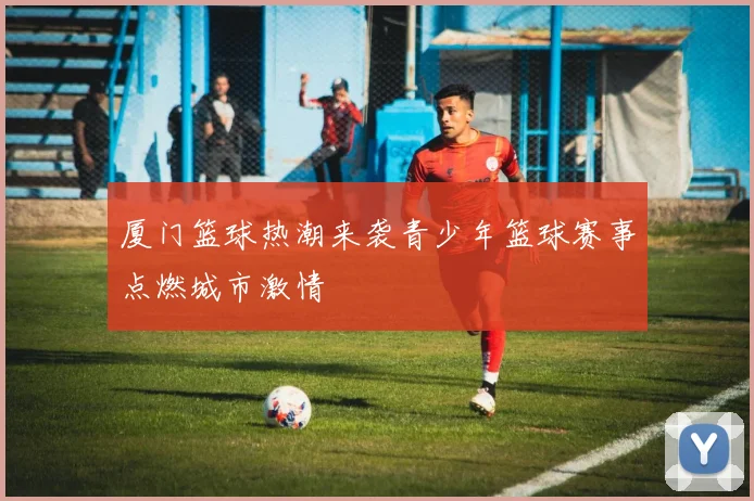 厦门篮球热潮来袭青少年篮球赛事点燃城市激情