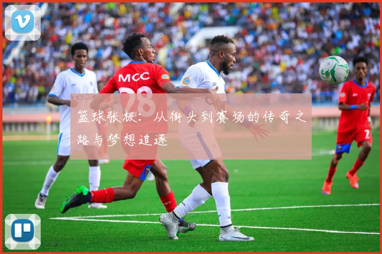 篮球张极：从街头到赛场的传奇之路与梦想追逐