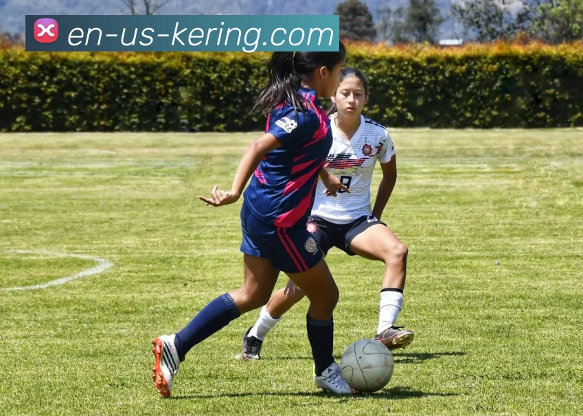 开云平台入口发展历程